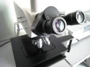 Microscope